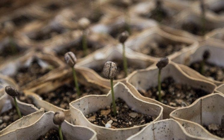 Groundbreaking Move towards A Greener Future: OXO Composting Initiative