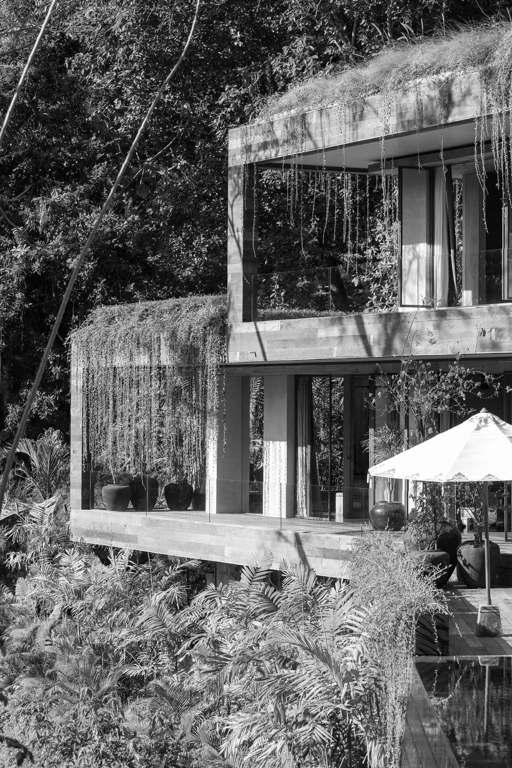 A villa set into the forest