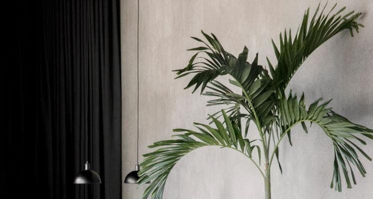 OXO Features: Sustainability your home