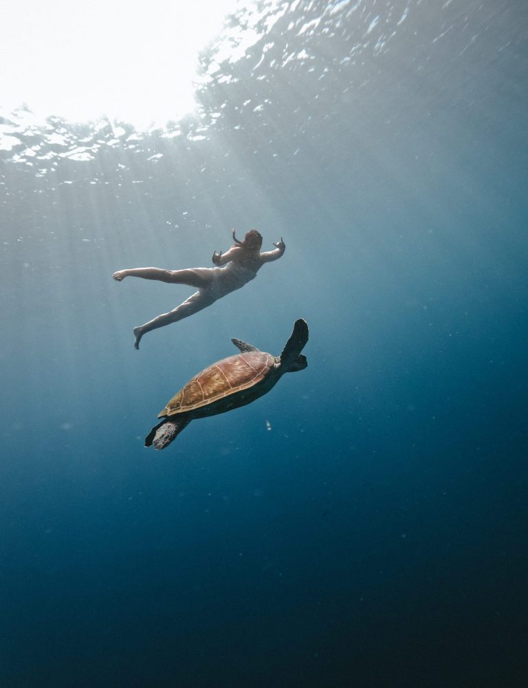 DCIM100GOPROGOPR8190.JPG DCIM100GOPROGOPR8190.JPG