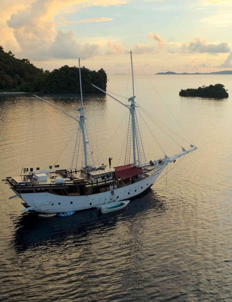 Jakareliveaboard3