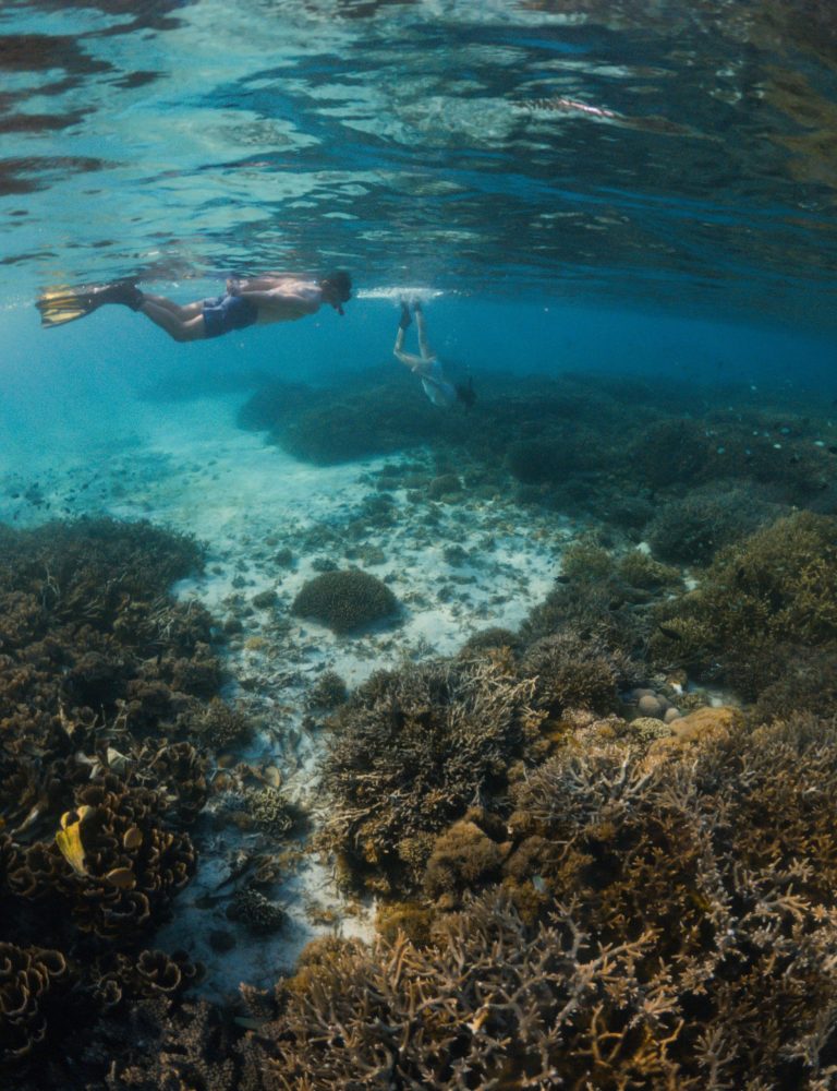 UNDERWATER_CELESTIA-07 UNDERWATER_CELESTIA-07